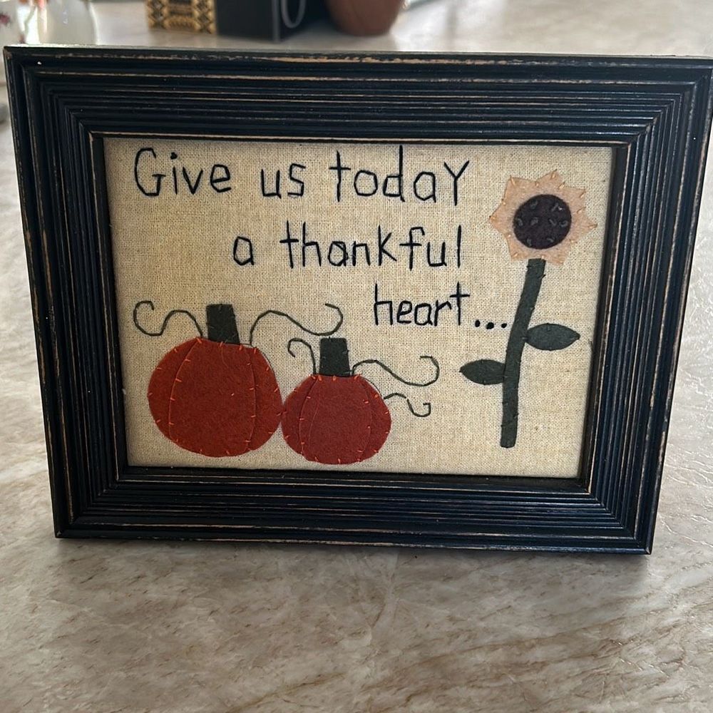 Thankful Framed Sampler
